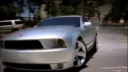 Gotin Mustang