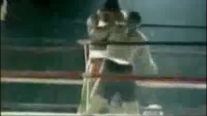 Mike Tyson 