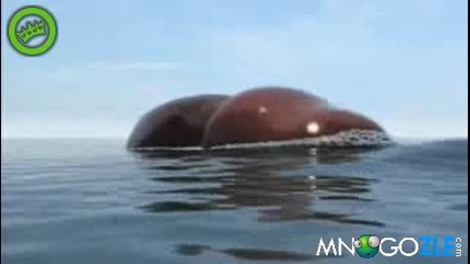 Смешна Анти - Спин Анимация