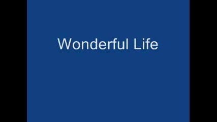 Gwen Stefani - Wonderful Life 