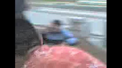 smqh v zld