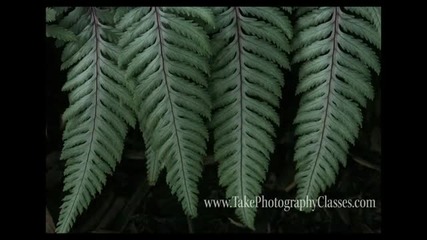 Take Photography Classes