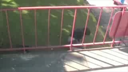 What A Fool 