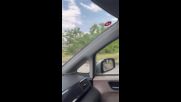 Паднало дърво в Пловдив