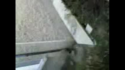 Kokvo Stava Ot 1 Triagalnik