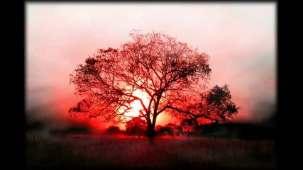 Ital - Tree Sign ( Original Mix )