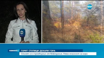 Горят стотици декари гора