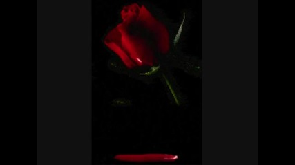 Michael Buble - Always On My Mind - Lyrics