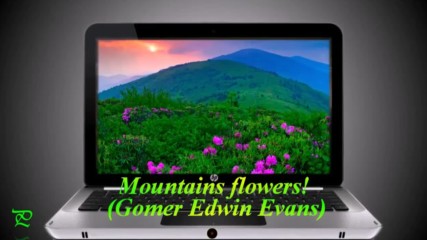 Планински цветя! ... ... ( Gomer Edwin Evans)