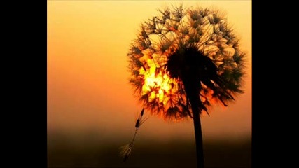 *trance* Blank and Jones - Summer Sun ( Chill Out )