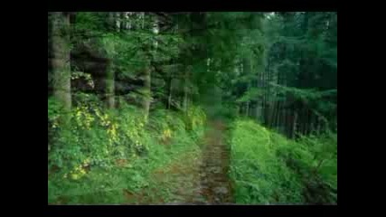 Falconer - Long Gone By