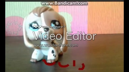Lps-black & White