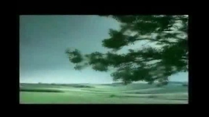 Клипa, който разплака всички
