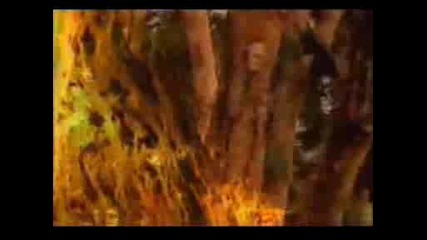 Icehouse - Great Southern Land.