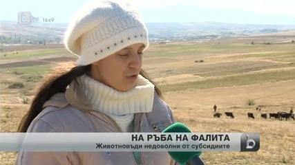 Животновъди на ръба на фалита