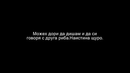 Зак Ефрон - Под Водата Разговарям С Рибите 