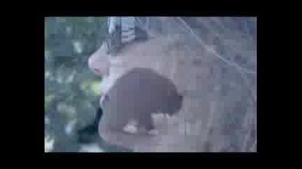 Dj Tiesto - Close To You