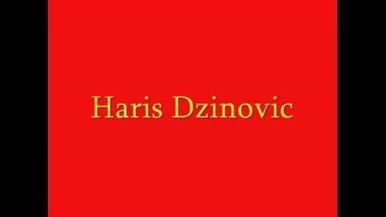 Haris Dzinovic - Domovino Moja