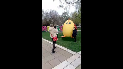 Vid_20230408_154731.mp4
