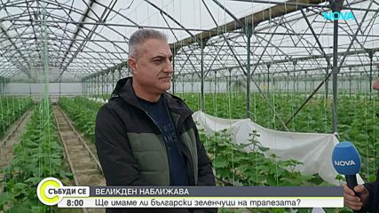 Ще има ли български зеленчуци на трапезата тази пролет
