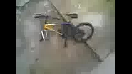 taka se 4upi kolelo