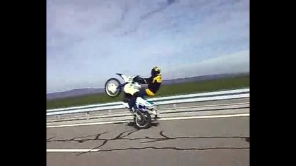 motori 