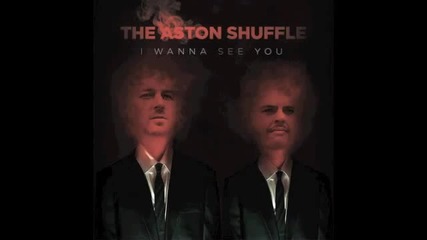 Aston Shuffle - I Wanna See You (dcup Remix)