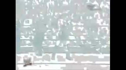 Wwe 