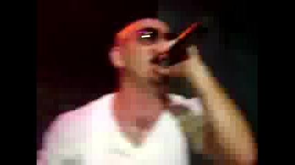 Pitbull Live in Vegas 