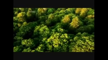 Средновековното мислене - Сексът (част 2/6)