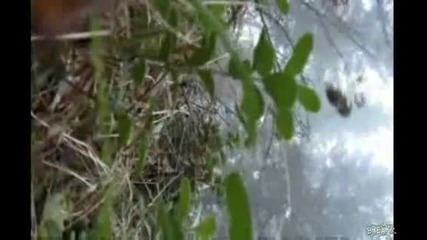 Взривяване на къща с 45 кг динамит