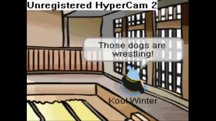 Club Penguin Tv 12