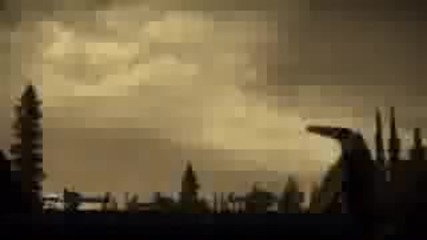 Need for Speed Most Wanted Black Edition Trailer
