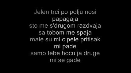 Reni feat. Dj Krmak - Papagaj (lyrics) 