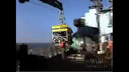 National Geographic: Wild Chronicles - Изгубения Град