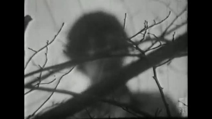 The Loved Ones - The Loved One (1965)