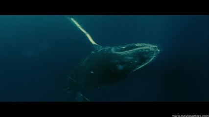 Make A Wave - Disneynature Oceans - Disney Movie Surfers Hd 