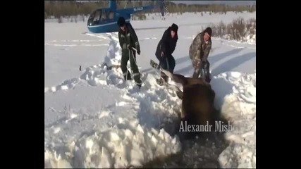 Помогни!!!бъди добър!!!и те имат нужда от Помощ!!!!