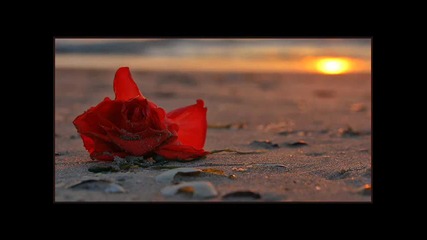 Exilia - Without you