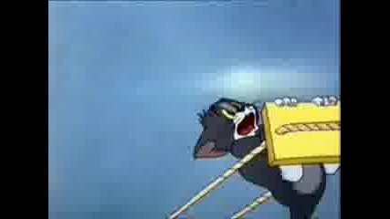 Tom Jerry