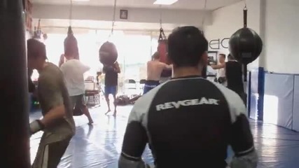 Ufc Fighter Diary Nam Phan