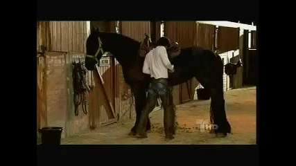 los herederos del monte capitulo 19 parte 4 