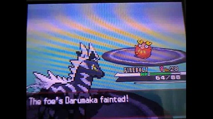 Pokemon Black and White Walkthrough part 21