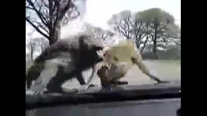 Само секси правим