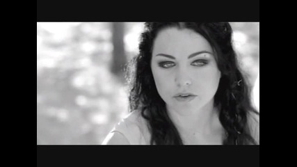 Evanescence - The Last Song Im Wasting On You (превод) 