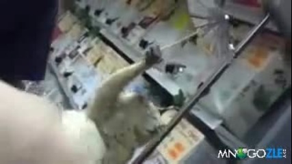 Лемурски Разкош
