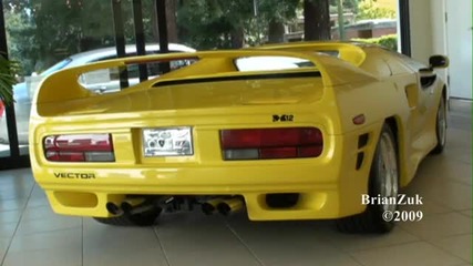 Vector M12 - Youtube
