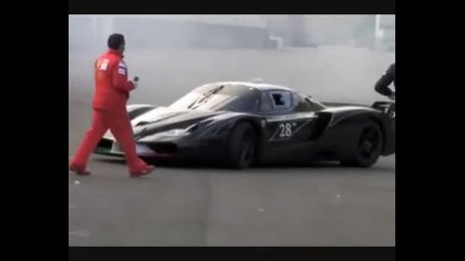 Ferrari Enzo Burn Out 