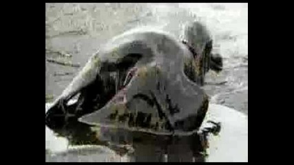 Linkin Park - What I`ve Done 