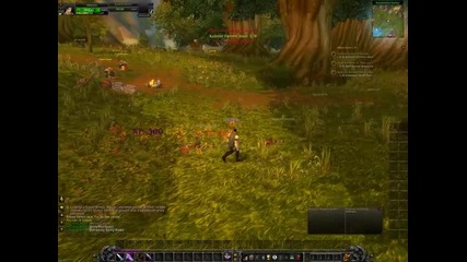 Wow Leveling Guide 1-11(а)